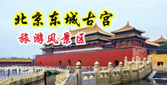 韩国大胆小穴中国北京-东城古宫旅游风景区